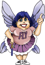 FlyLady