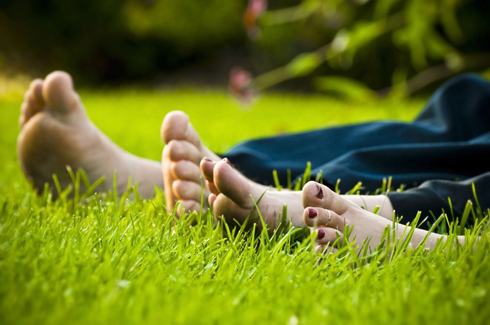 Les pieds dans l'herbe